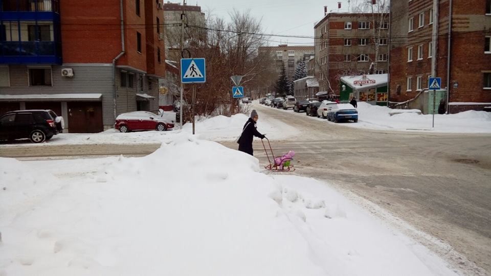 Новосибирский сенатор призвала общественность помочь ГИБДД с профилактикой детского травматизма