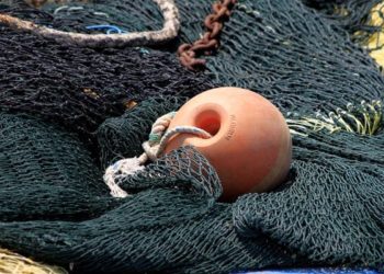 Новосибирские депутаты попросят губернатора разрешить рыбалку в заморных водоемах