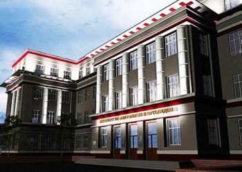 Новосибирский общественник перечислил 20 организаций, имевших с НИИТО единый телефон