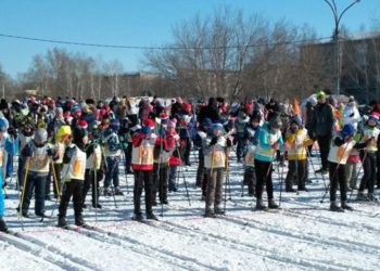 Почти 300 человек пробежали XI «Лыжню Пашино» на минувших выходных