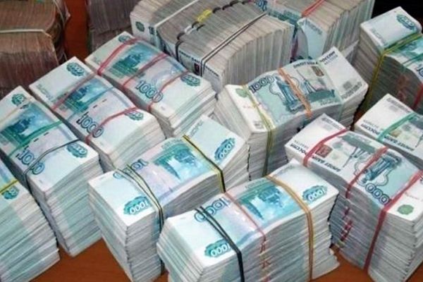 Новосибирского общественника подозревают в присвоении двух полумиллионных субсидий