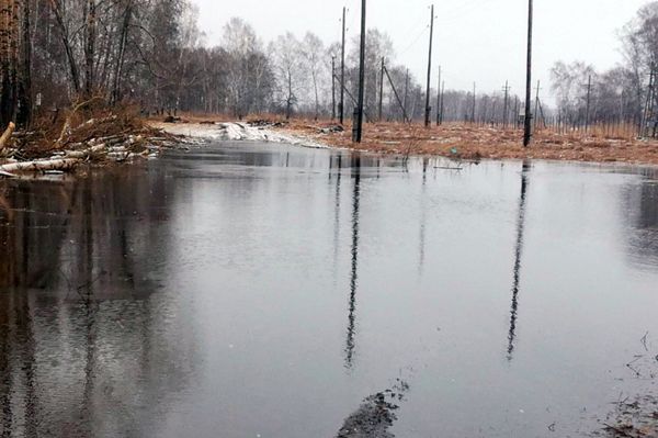 Улицы в садоводстве под Новосибирском превратились в озера
