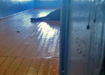 Барабинский стрелок. Подробности