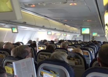 Птица протаранила самолет с пассажирами из Новосибирска и заставила его вернуться в аэропорт