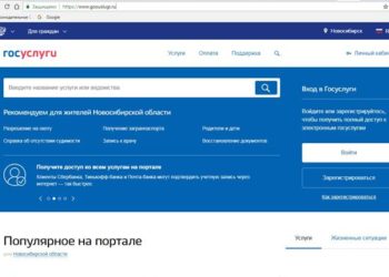 Госуслуг.нет — пишите в поддержку