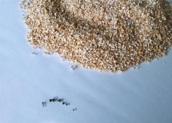 Фото: пресс-служба Управления Россельхознадзора по Новосибирской области