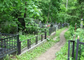 За неуплату алиментов новосибирца отправили на кладбище