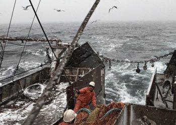 Предприниматели-рыболовы просят Путина сохранить принцип распределения квот на вылов краба