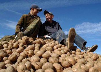 Сажать, нельзя продавать!