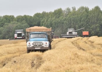 пресс-служба правительства Новосибирской области