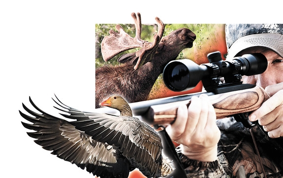 Трофеи из Красной книги. Почему государство перестаёт защищать редких животных