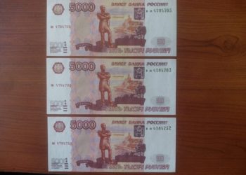 пресс-служба ГУ МВД по НСО