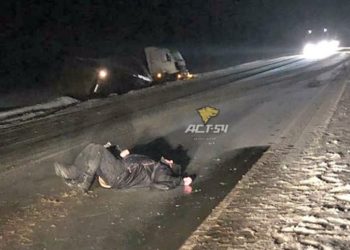 В Новосибирской области фура сбила мужчину, который ловил попутку