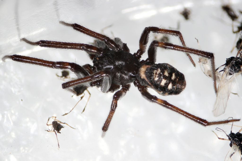 Фото: Галины Азаркиной