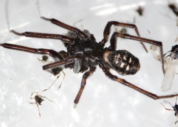 Фото: Галины Азаркиной