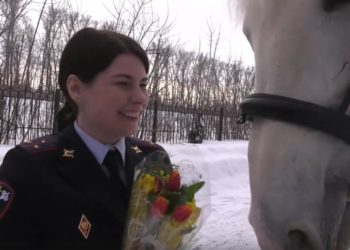 В Новосибирске всадник на белом коне дарил цветы женщинам