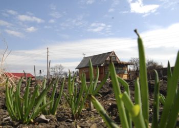 Михаила Пермина