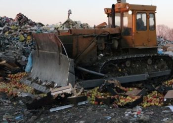 Управление Россельхознадзора по нсо