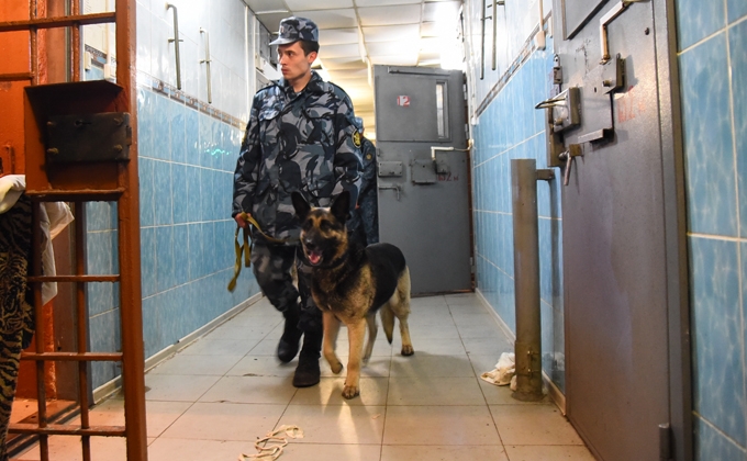 гуфсин по нсо