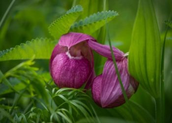 Фото Закира Умарова