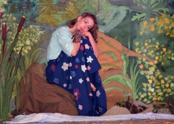 гуфсин по нсо