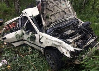 ГУ МВД по НСО