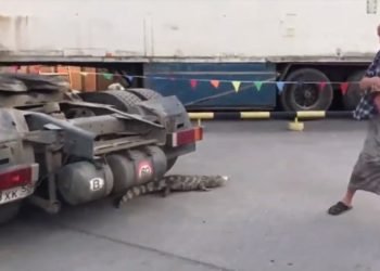 кадр с youtube.com