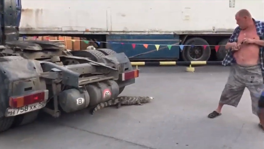 кадр с youtube.com