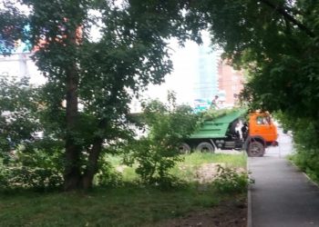 Названа причина вырубки сквера возле ЦУМа