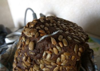 "Ревизорро Новосибирск"