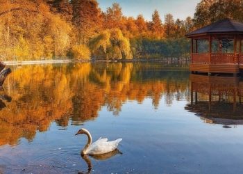 vk.com/novosibirsk_zoo