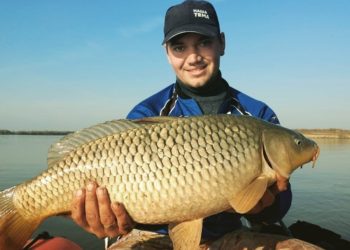 Предоставлено Никитой Дюпиным