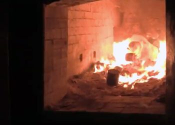 27 тонн женских сумок Dolce Gabbana сожгли в Новосибирске