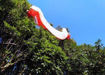 предоставлены Александром Орловым