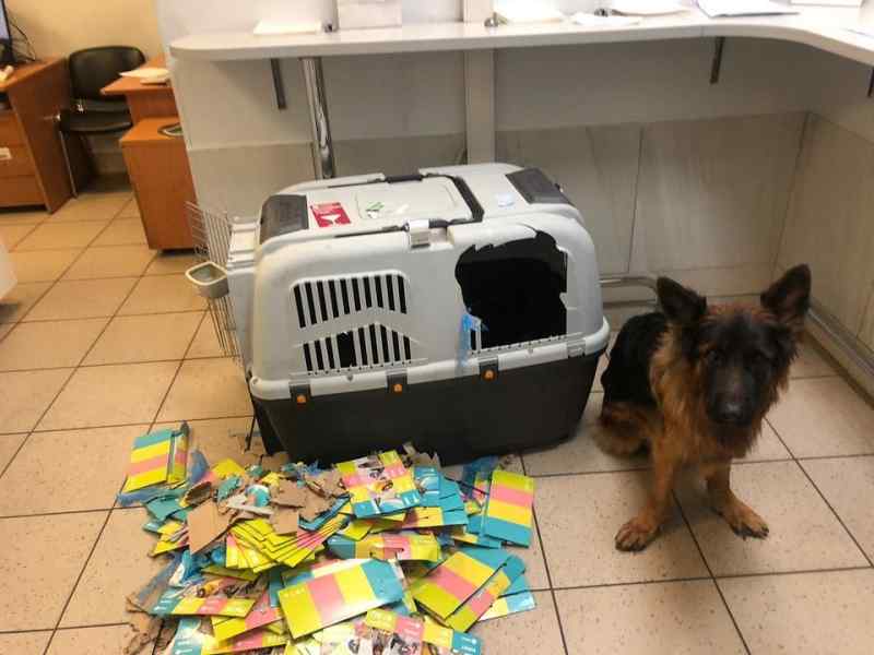 instagram.com/andreev.nsk