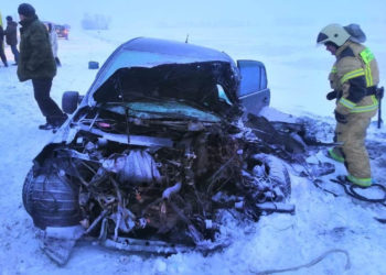 Госавтоинспекция НО