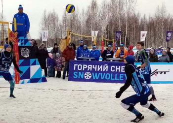 НДН.инфо, В.Ведерников