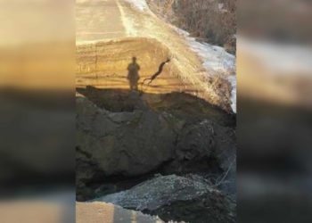 Бердск-Онлайн