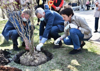 Губернатор Андрей Травников вместе с новосибирцами принял участие в акции «Сад памяти»