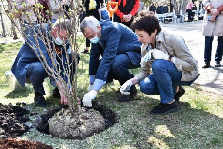 Губернатор Андрей Травников вместе с новосибирцами принял участие в акции «Сад памяти»