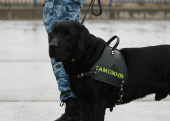 Сибирское таможенное управление