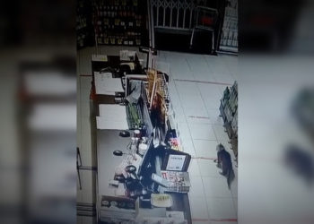 Кот-бродяга случайно активировал химловушку в магазине под Новосибирском