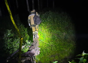 vk.com/lizaalert_novosib