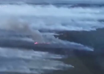 Более 4 млн гектаров сибирского леса уже сгорело за это лето