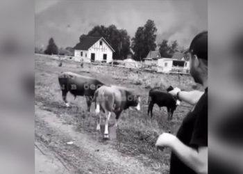 instagram-аккаунт @solundar04