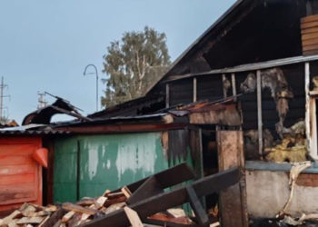 СУ СК по Новосибирской области