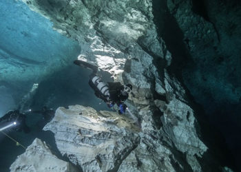 Анна Трипольская