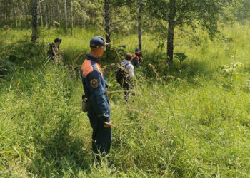 vk.com/lizaalert_novosib