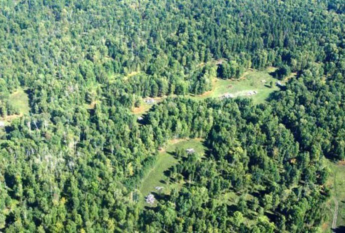 Андрей Травников: На примере Караканского бора надо выработать образцовую модель в сфере лесных отношений