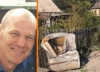 Коллаж: lizaalert.org / forum и sledcom.ru